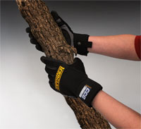 Located on Catalog Page   55.