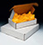 Located on Catalog Page 206.