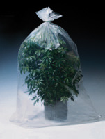 Located on Catalog Page 19.