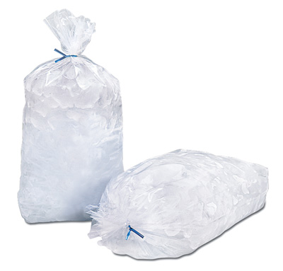 LDPE Bag with Holes 8 x 4 x