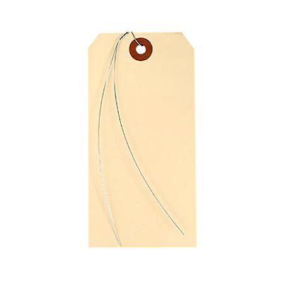 Paper Tags