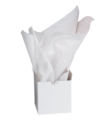 20 x 30 Gift Grade Tissue Paper Sheets Bulk Package - White (10 lb.)