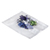 Located on Catalog Page 31.
